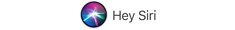 hey/2021-01-28-13cyw31ukkgsg00s-bmgJx4MhX-Siri logo right size.png